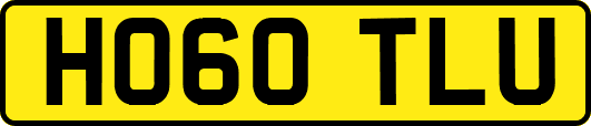 HO60TLU