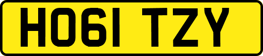 HO61TZY