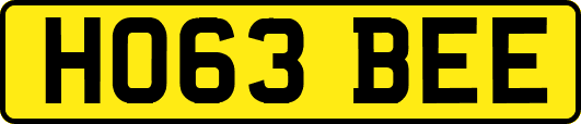 HO63BEE