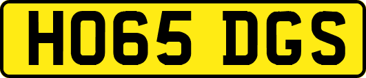 HO65DGS