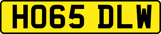 HO65DLW