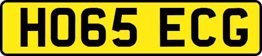 HO65ECG