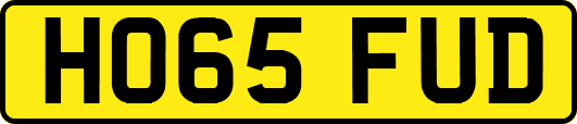 HO65FUD