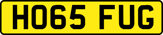 HO65FUG
