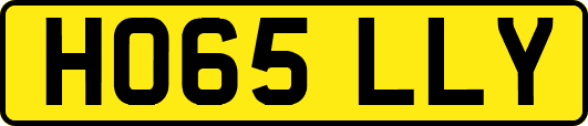 HO65LLY