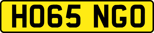 HO65NGO