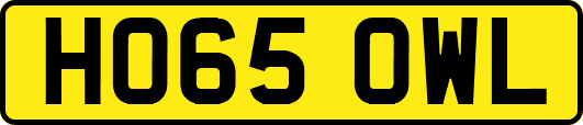 HO65OWL