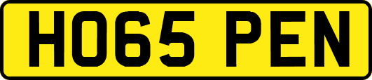 HO65PEN