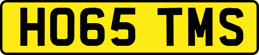 HO65TMS