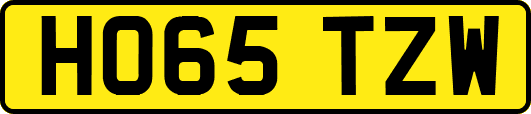 HO65TZW