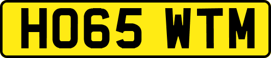 HO65WTM
