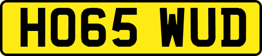 HO65WUD