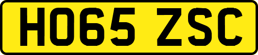 HO65ZSC