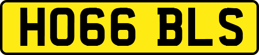 HO66BLS