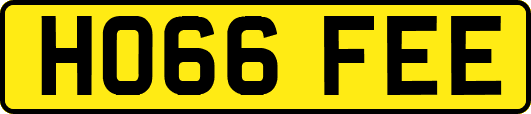 HO66FEE