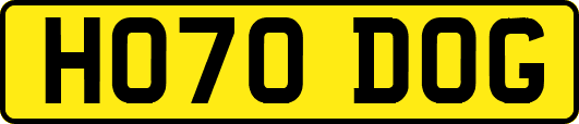 HO70DOG