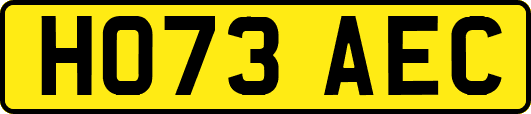 HO73AEC
