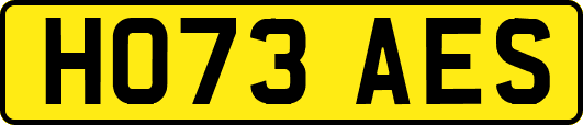 HO73AES