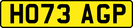 HO73AGP