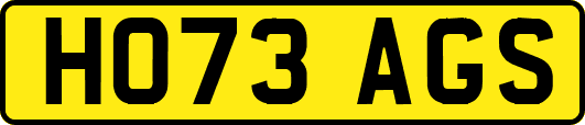 HO73AGS