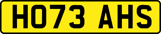 HO73AHS