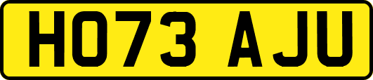 HO73AJU