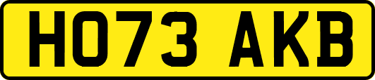 HO73AKB