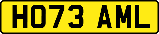 HO73AML