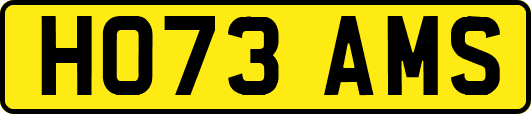 HO73AMS