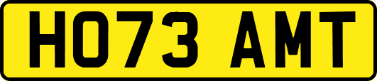 HO73AMT