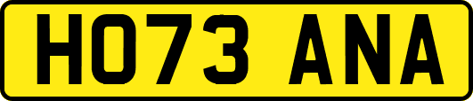 HO73ANA