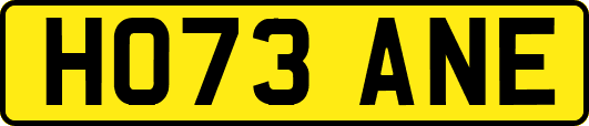 HO73ANE