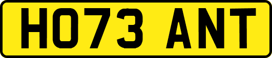 HO73ANT