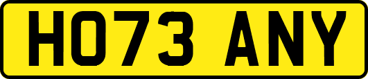 HO73ANY