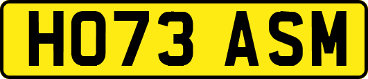 HO73ASM