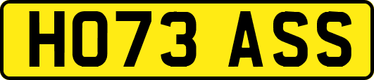 HO73ASS