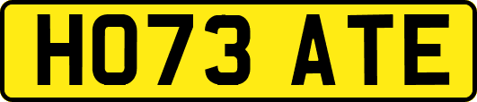 HO73ATE