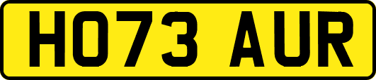 HO73AUR