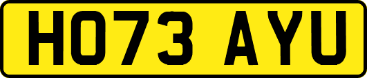 HO73AYU