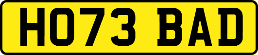 HO73BAD