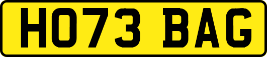 HO73BAG