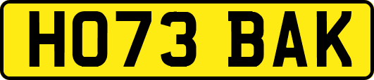 HO73BAK