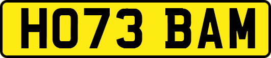 HO73BAM