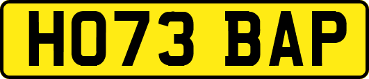 HO73BAP