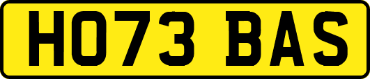 HO73BAS