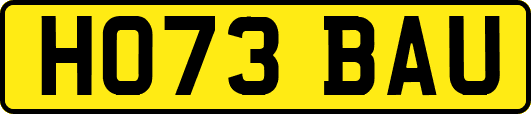 HO73BAU