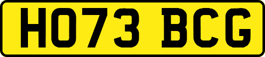 HO73BCG