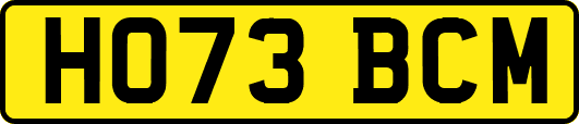 HO73BCM