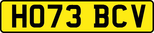 HO73BCV