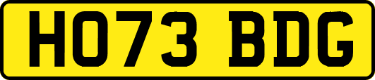 HO73BDG